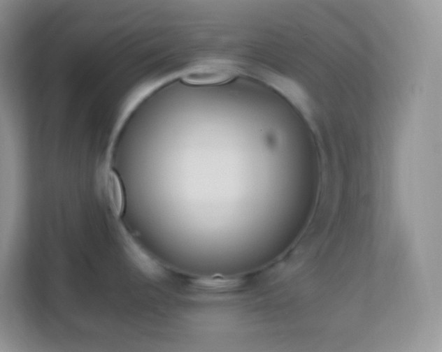 X0000113331344200909281220