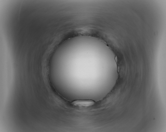 X0000113331345200909281219
