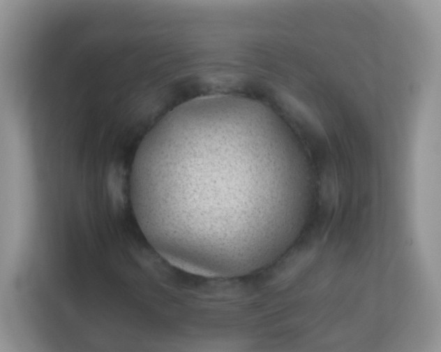 X0000113331346200909281219
