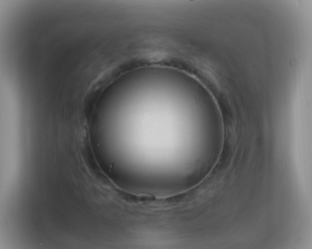 X0000113331349200909281219
