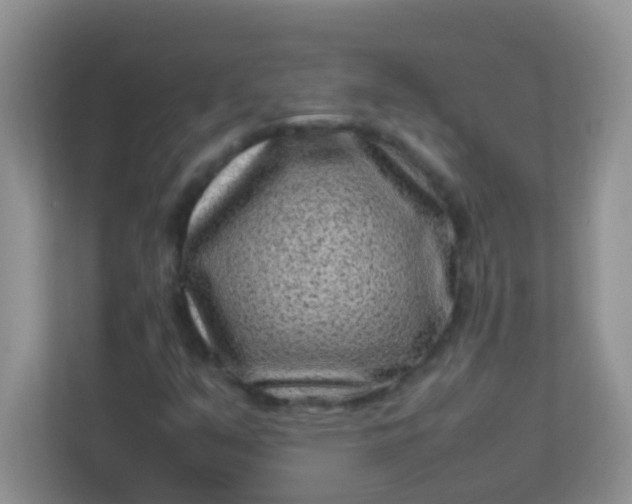 X0000113331351200909281219