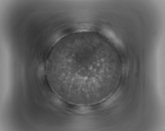 X0000113331353200909281219