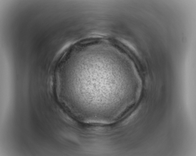 X0000113331355200909281219