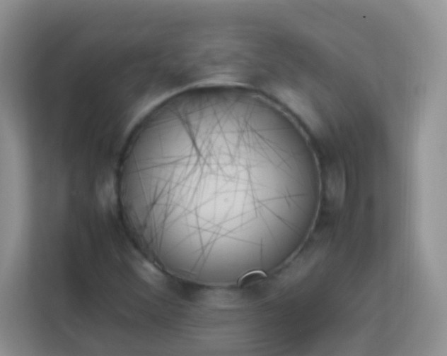 X0000113331356200909281219