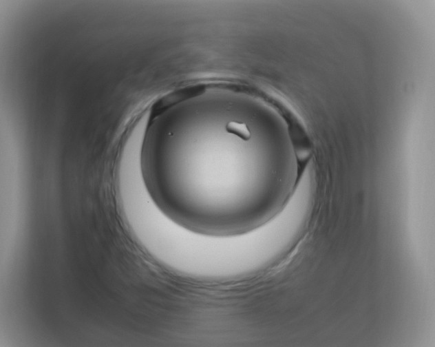 X0000113331357200909281219