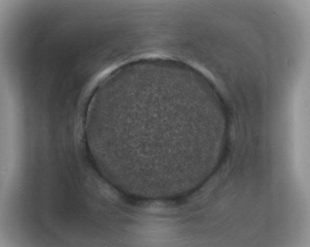 X0000113331359200909281219
