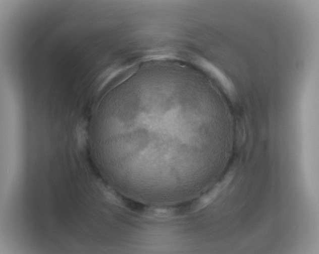 X0000113331361200909281219