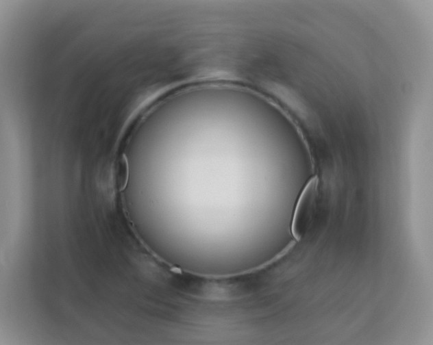 X0000113331364200909281219