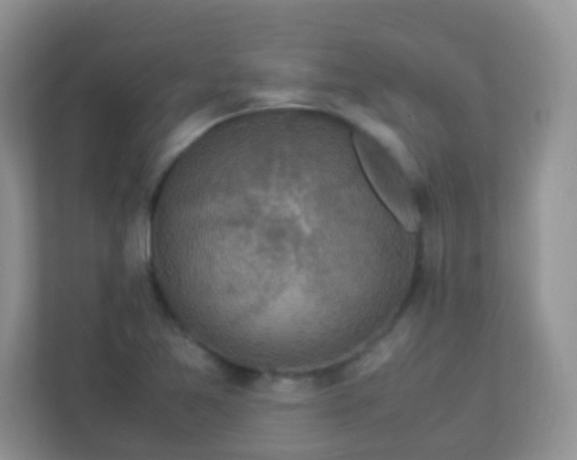 X0000113331365200909281219