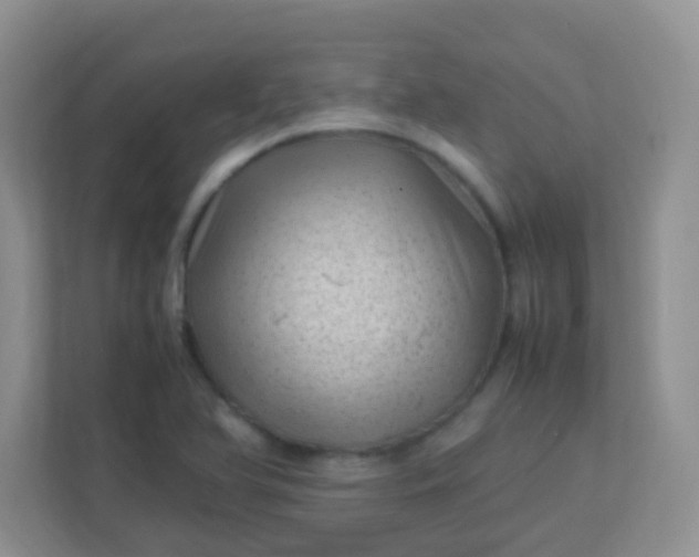 X0000113331366200909281219