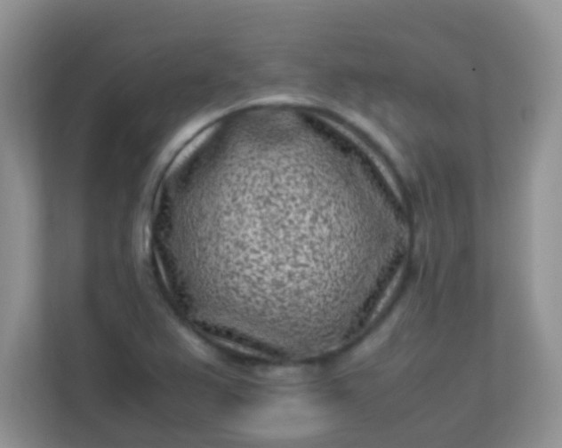 X0000113331367200909281219
