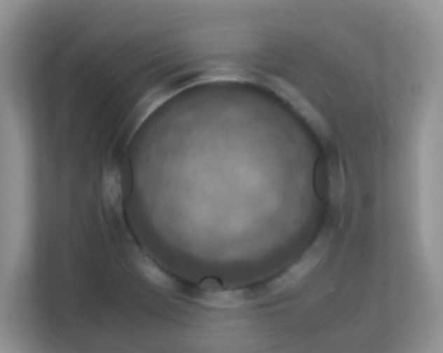 X0000113331369200909281219