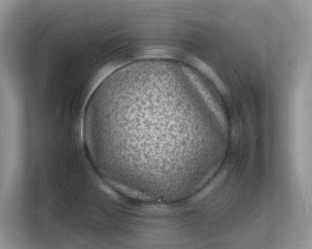 X0000113331370200909281219