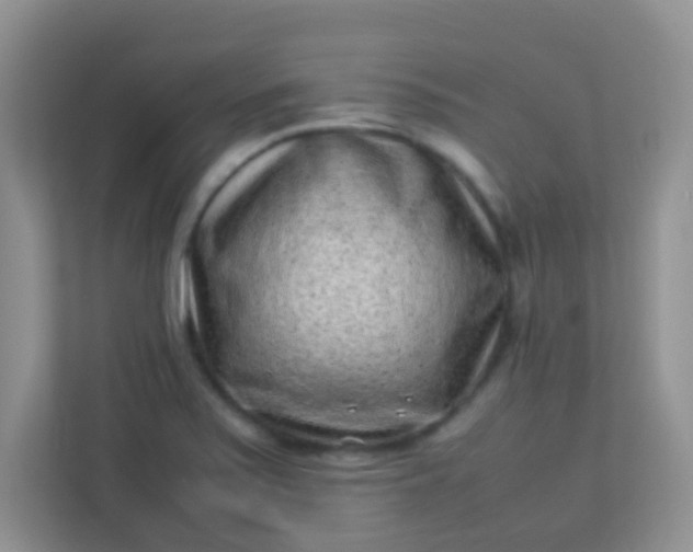 X0000113331371200909281219
