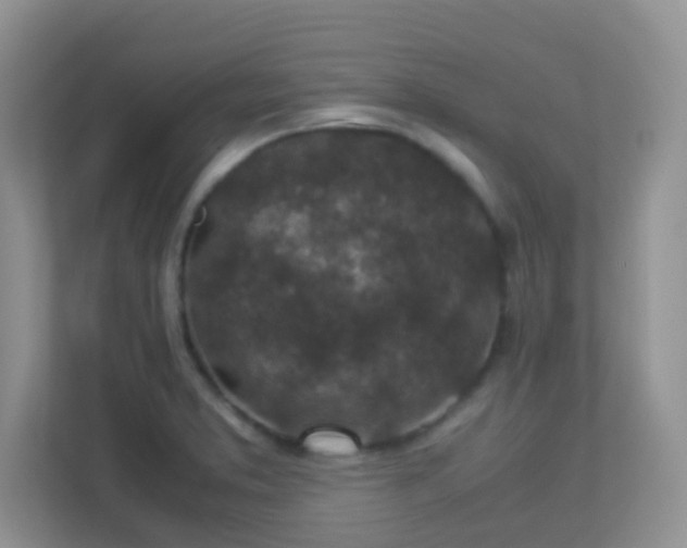 X0000113331373200909281219