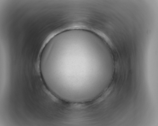 X0000113331374200909281219