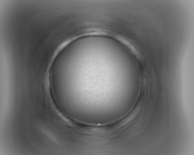 X0000113331375200909281219