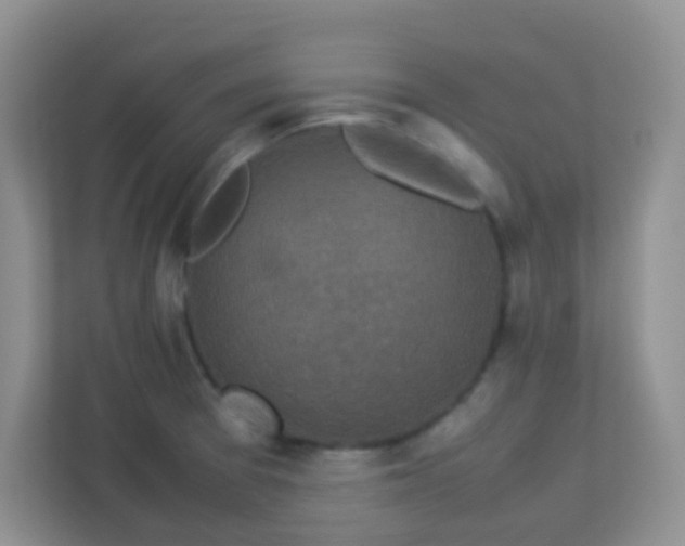 X0000113331377200909281219