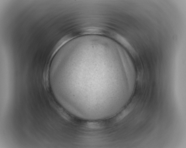 X0000113331378200909281219