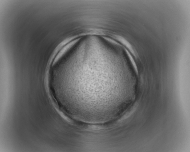 X0000113331379200909281219
