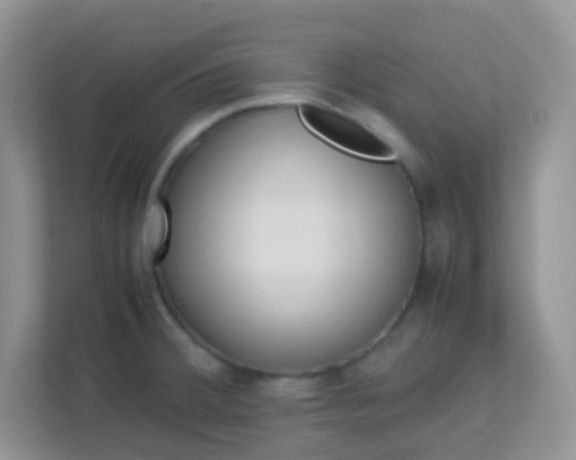 X0000113331380200909281219