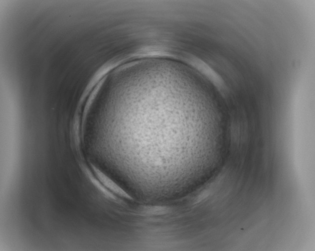 X0000113331382200909281219