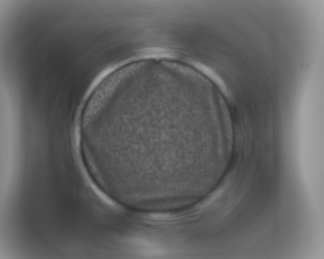 X0000113331383200909281219
