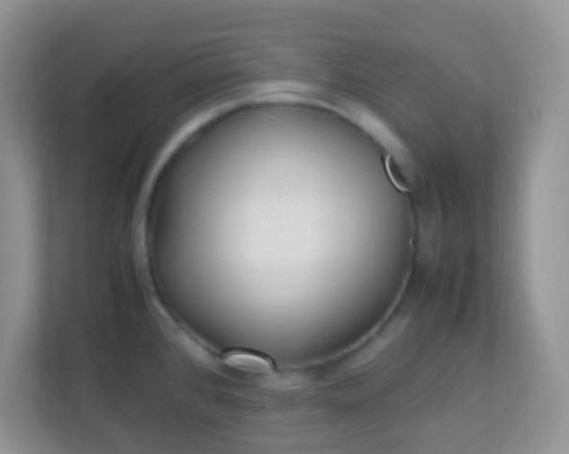 X0000113331384200909281219