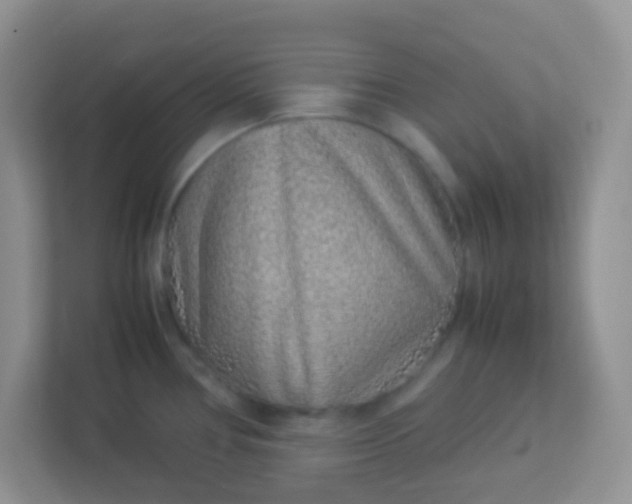 X0000113331386200909281219
