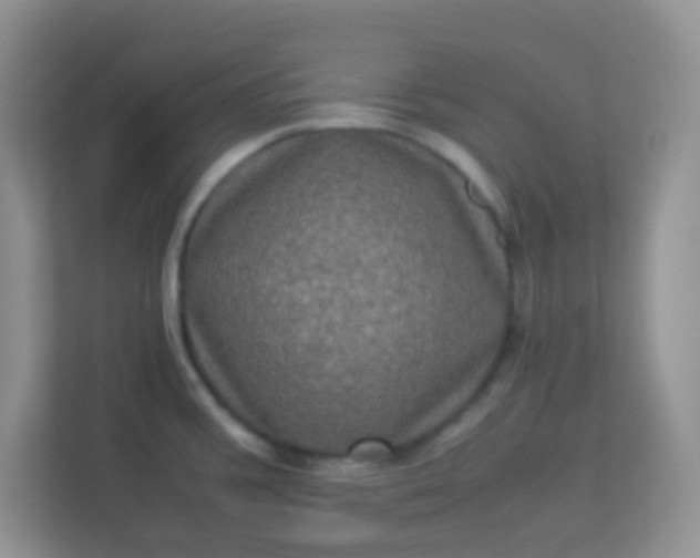 X0000113331387200909281219