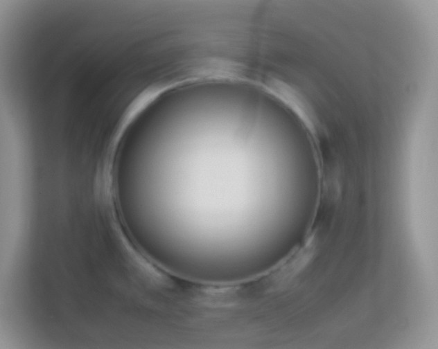 X0000113331389200909281219