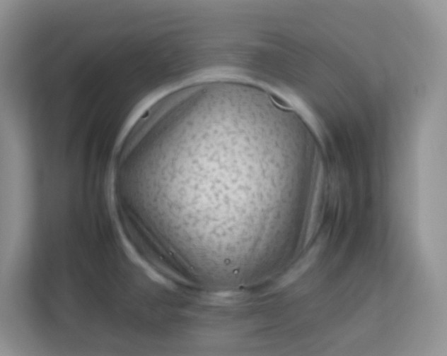 X0000113331390200909281219