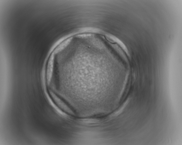 X0000113331391200909281219