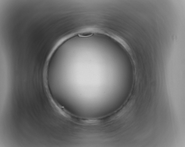 X0000113331392200909281219