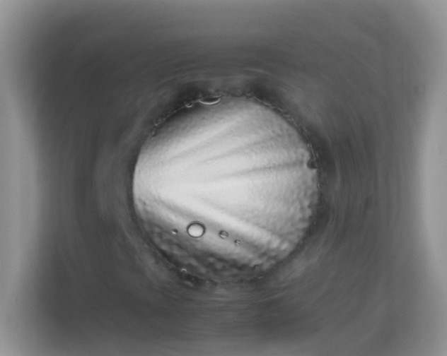 X0000113331393200909281218