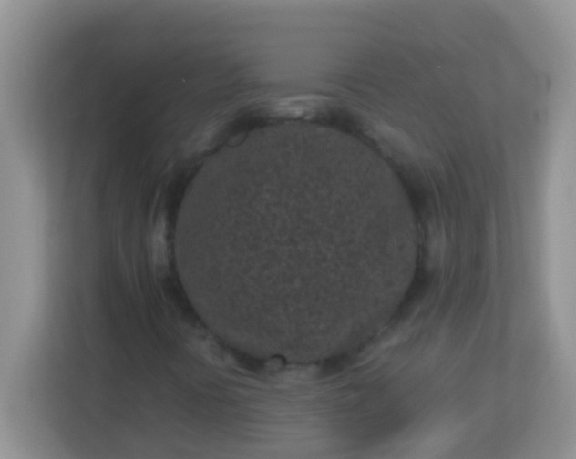 X0000113331394200909281218