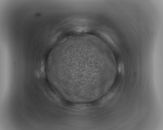 X0000113331396200909281218