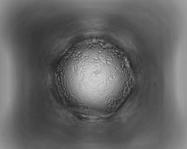 X0000113331397200909281218