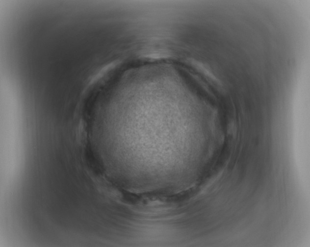 X0000113331398200909281218