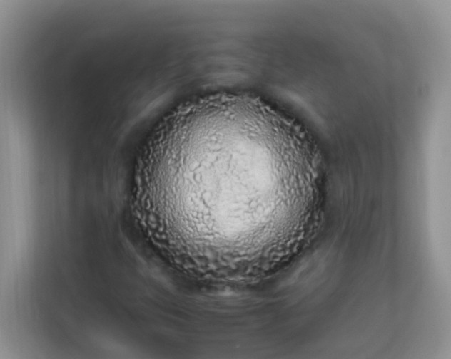 X0000113331399200909281218
