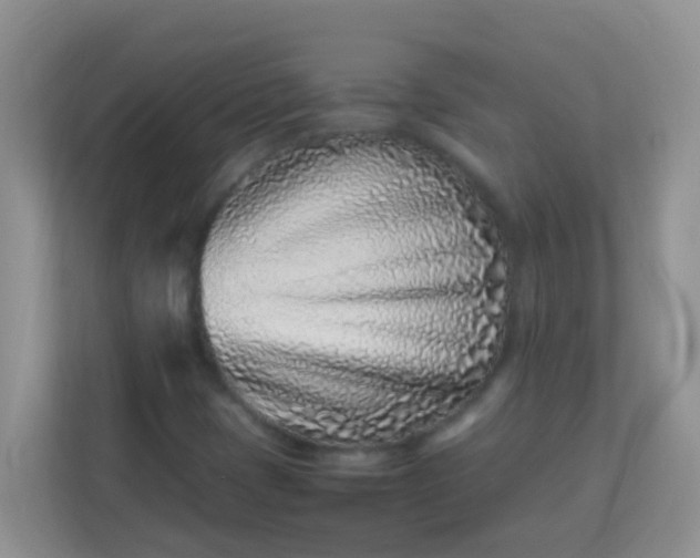 X0000113331401200909281218