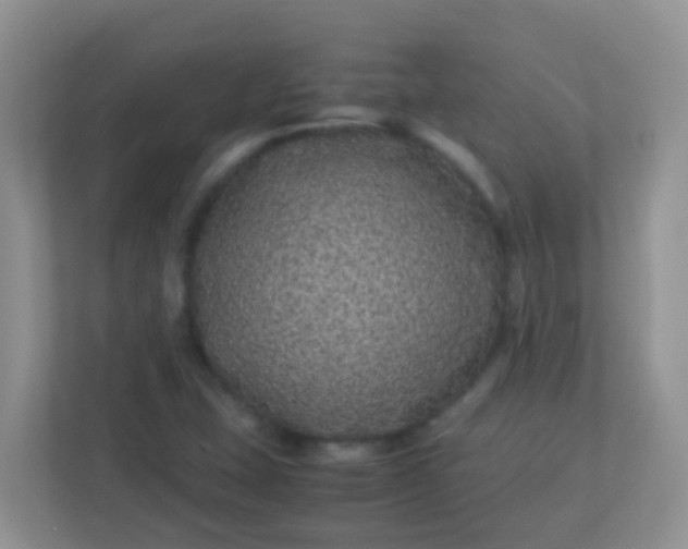 X0000113331407200909281218