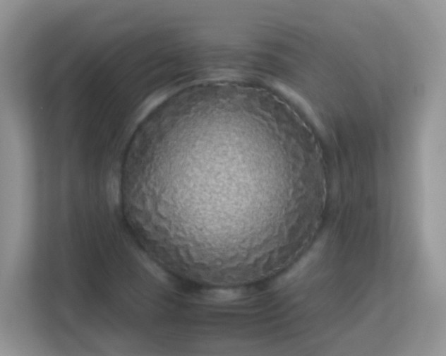 X0000113331409200909281218