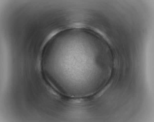 X0000113331410200909281218