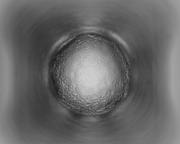 X0000113331411200909281218