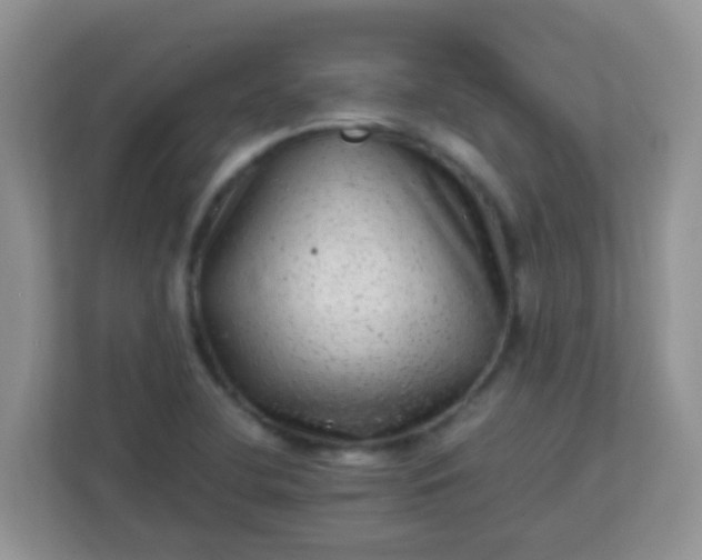 X0000113331412200909281218