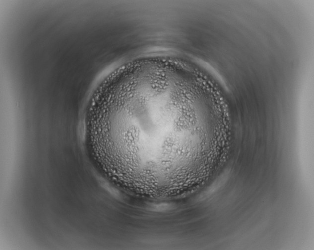 X0000113331413200909281218