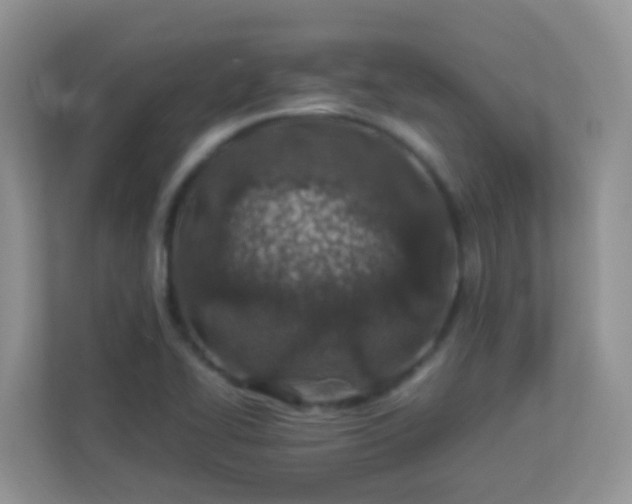 X0000113331414200909281218