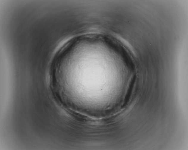 X0000113331415200909281218