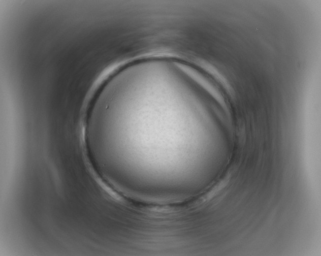 X0000113331416200909281218